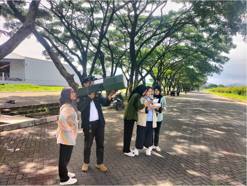 Internship activity